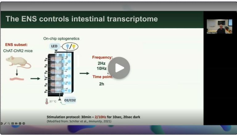 THE MICROBIOME, THE IMMUNE SYSTEM AND THERAPEUTICS – SESSION 12